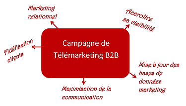 Campagne de telemarketing B2B